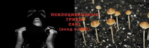 соль ск Надым