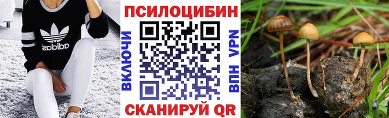 Псилоцибиновые грибы мицелий  Купить  Рудня 