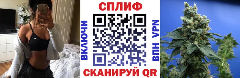 Бошки Шишки гибрид  Купить где  Рудня 